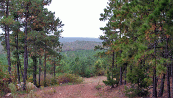 southeast oklahoma, blackjack mountain, medicine springs