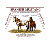 ssma registry, ssma rules, ssma guideline, southwest spanish mustang association