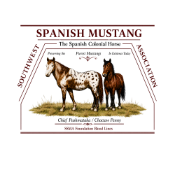 ssma registry, ssma rules, ssma guideline, southwest spanish mustang association