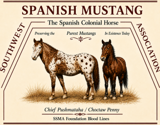 southwest spanish mustang association, ssma, ssma rules, ssma registry, ssma guidelines